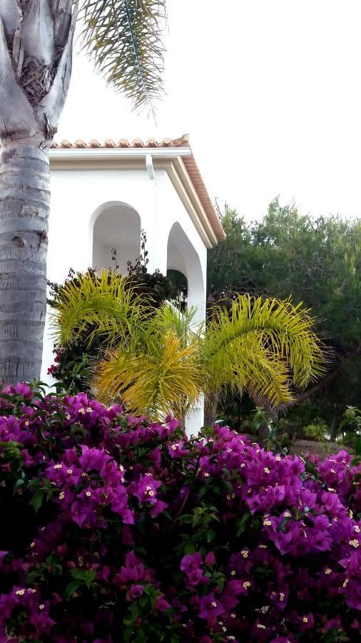 Queen Palm Praia Da Luz Ngoại thất bức ảnh
